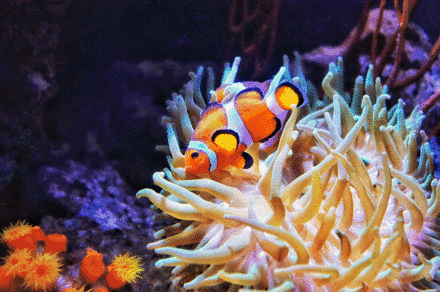 福利丨嘀你有一份来自神秘海底世界的邀约请查收