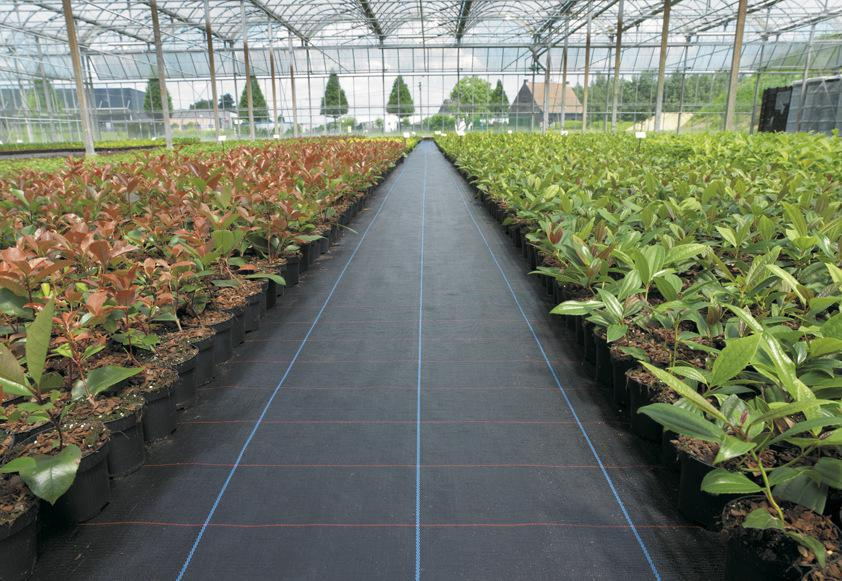 防草布的成分及使用问题