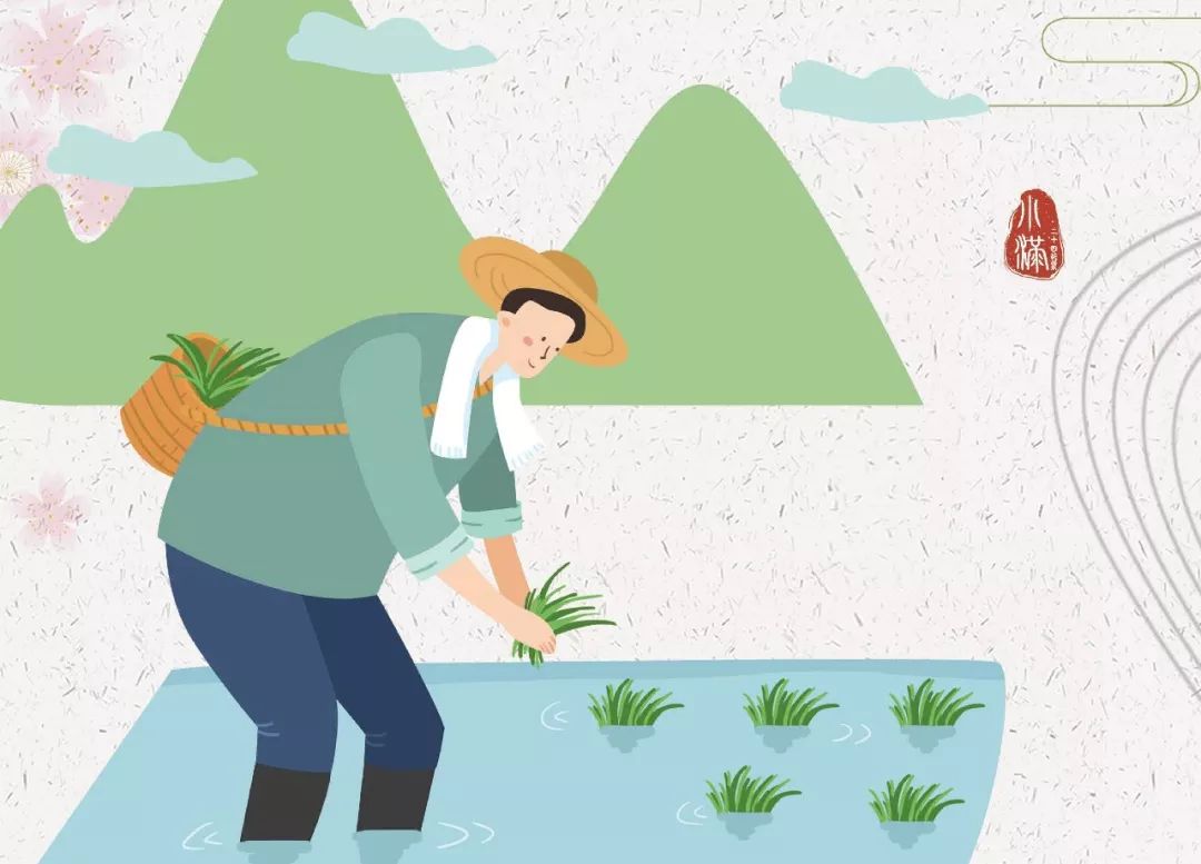 农夫网站建设美丽图片卡通_(农夫网站建设美丽图片卡通版)