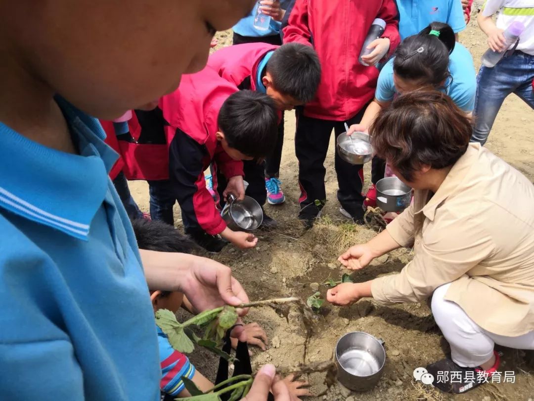 近期,馬安鎮中心小學在學校附近租地一塊,開設