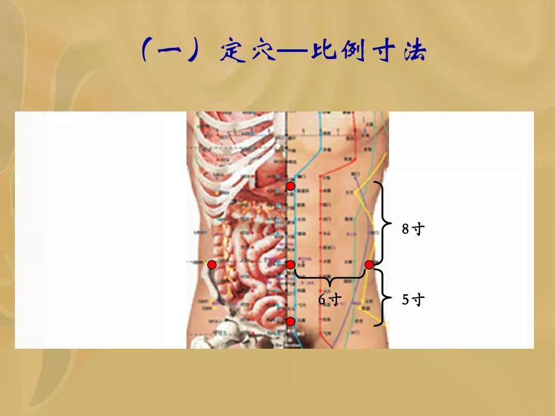 腹针疗法