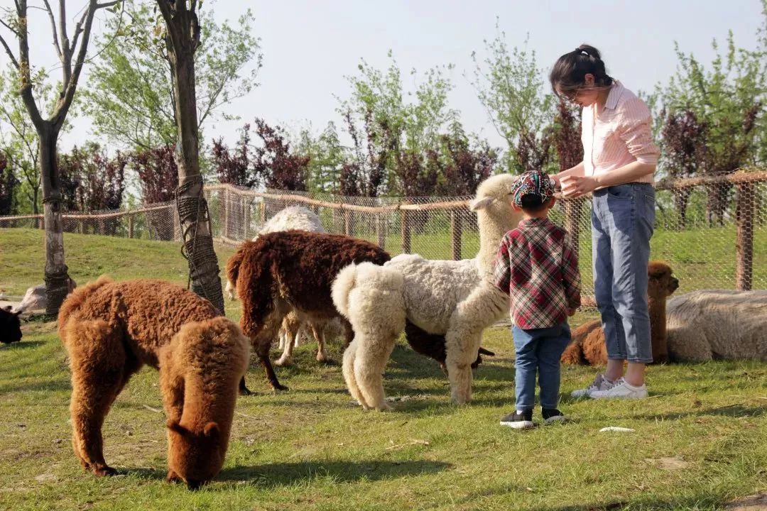 【兒童節特惠】這家森林野生動物園親子票特惠只要129_南通