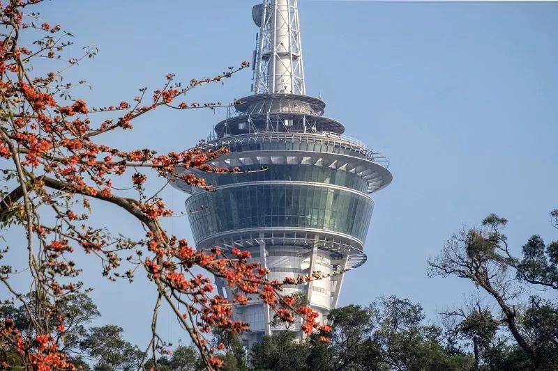 吴国雄/摄 平民区下的彩虹 梁锦源/摄 莲花是澳门区花,适逢今年回归