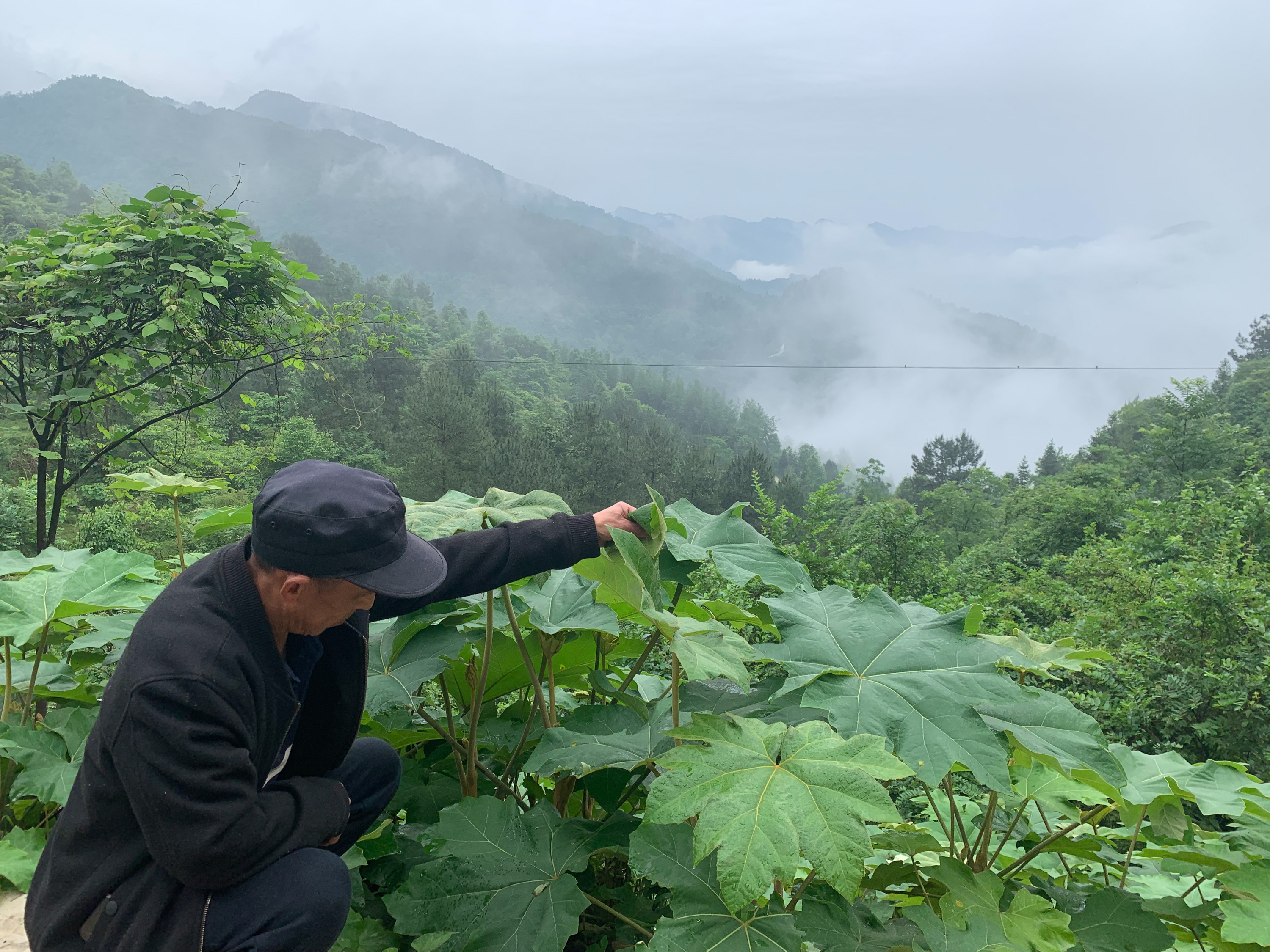 沙湾村迎来好日子摆渡人