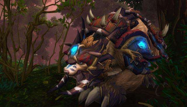 1/8.15 熊t新手指南