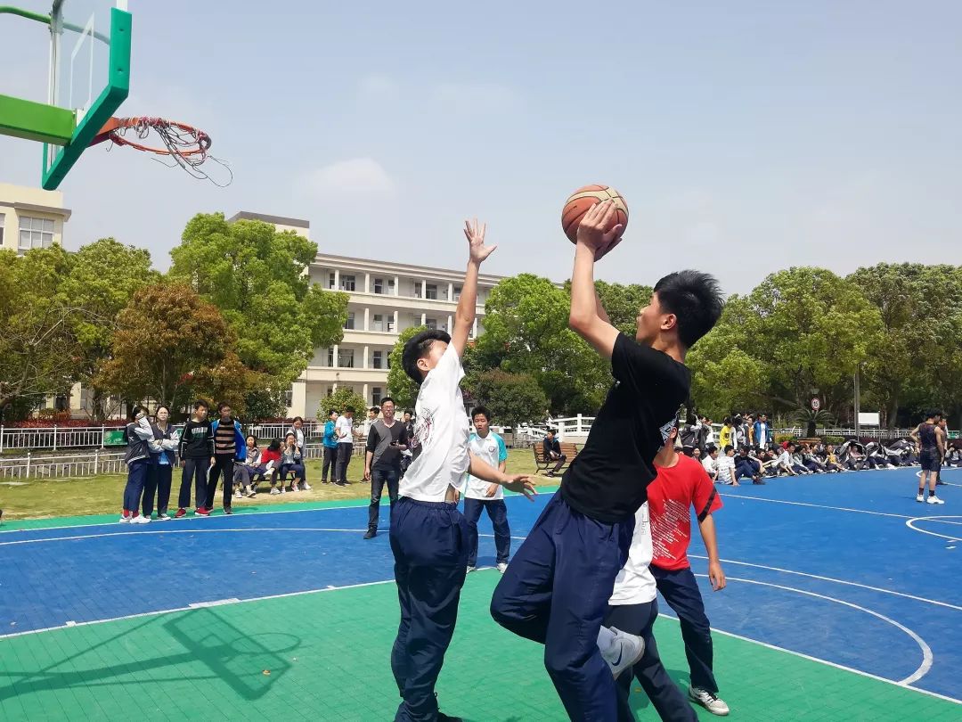 桃渚中学2019年初一学生报名公告