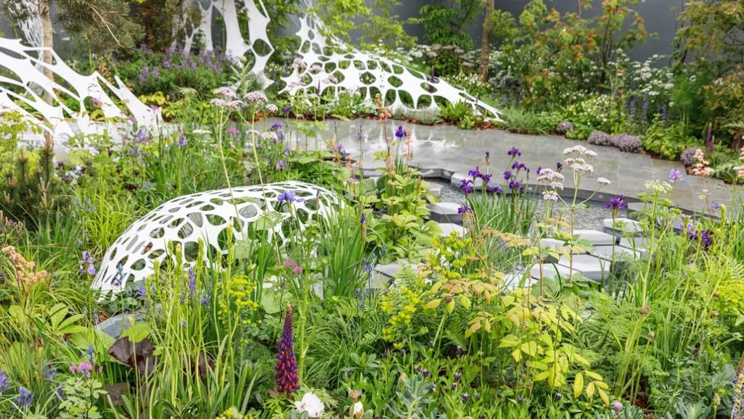 2019切尔西花展获奖名单出炉你猜中了吗