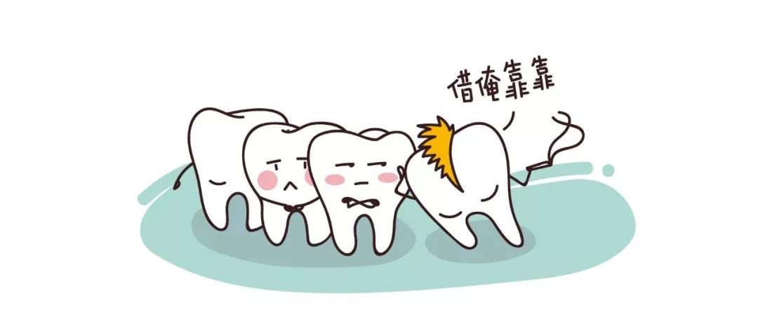 对智齿仁慈,就是对自己残忍