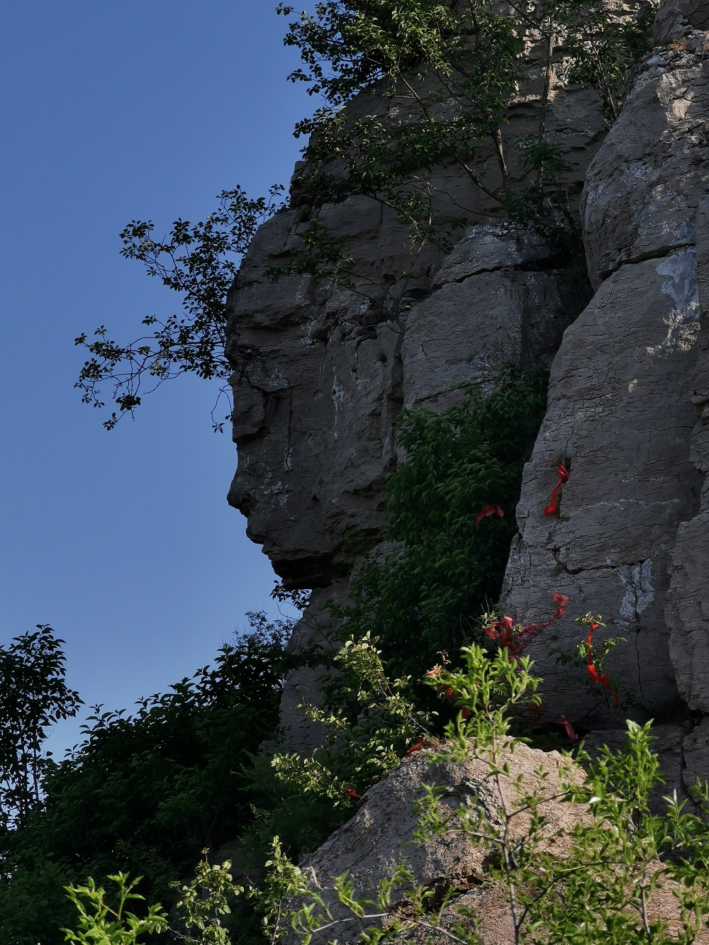蒙阴,临沂沂南,淄博沂源,临沂平邑,临沂费县和枣庄市山亭区等7个县,区