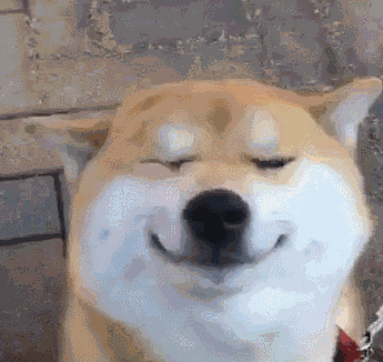 例如有人在绿道上溜犬,一些不文明现象时有发生,但与美丽风景不匹配的