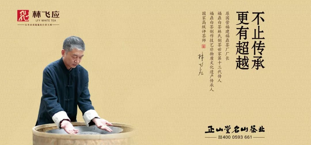 林飞应大师——福鼎白茶制作技艺非物质文化遗产传承人,国家高级评茶