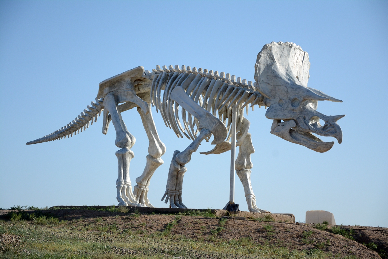 当年二连发现的迄今世界最大的盗蛋恐龙完整化石