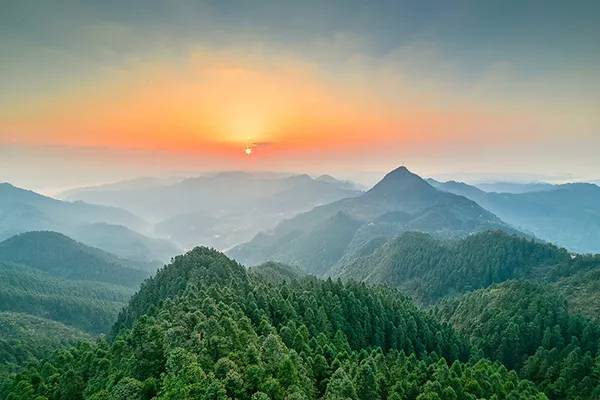 越跑古丈100登高望远观云海山林