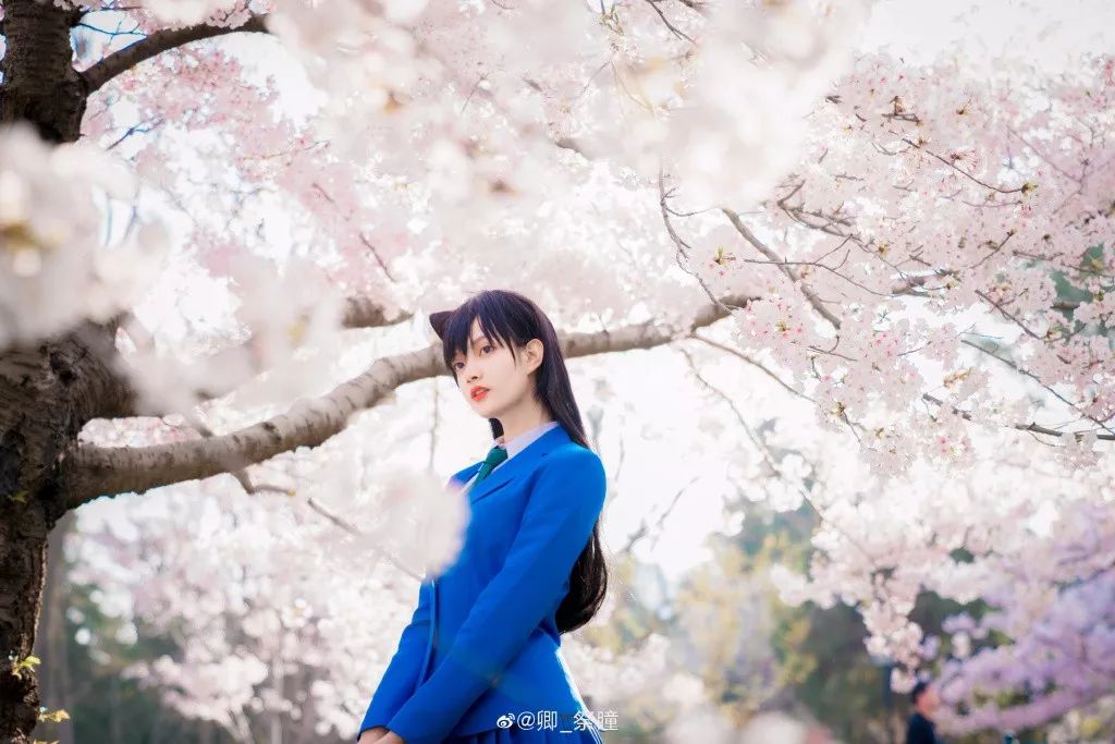 cosplay名侦探柯南樱花树下的毛利兰