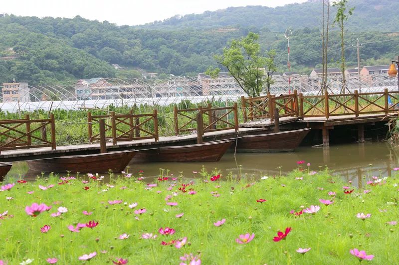 坞根新时代文明实践十八般武艺清杂草坞根农耕公园扮靓行动圆满完成