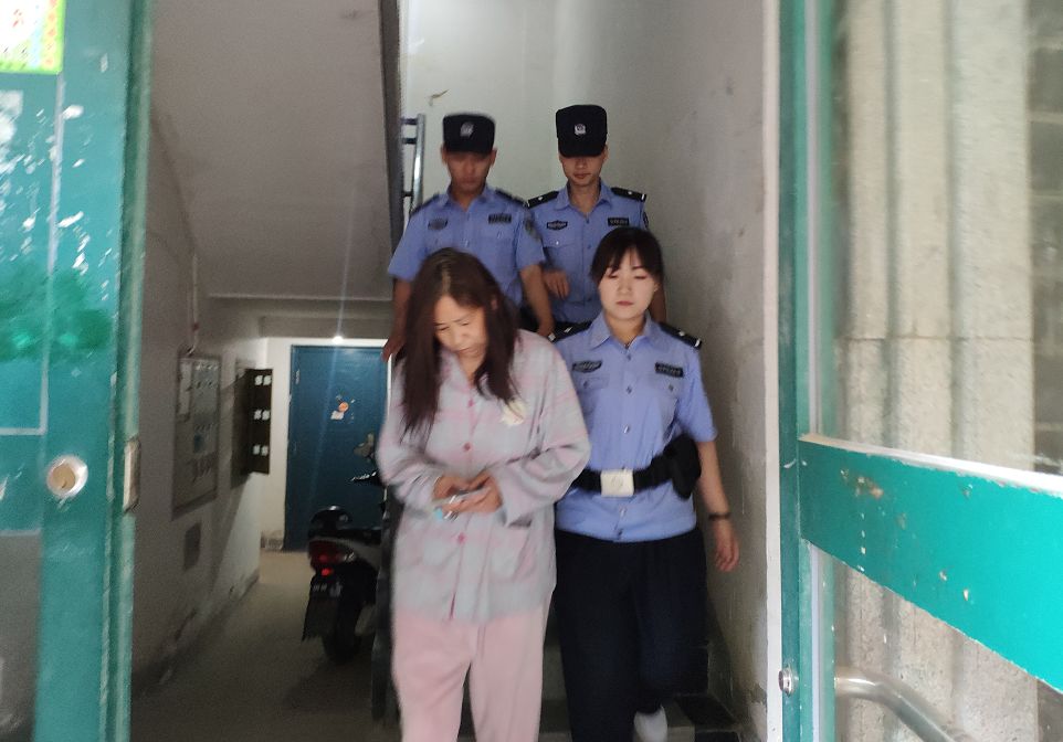 110警车抓人图片