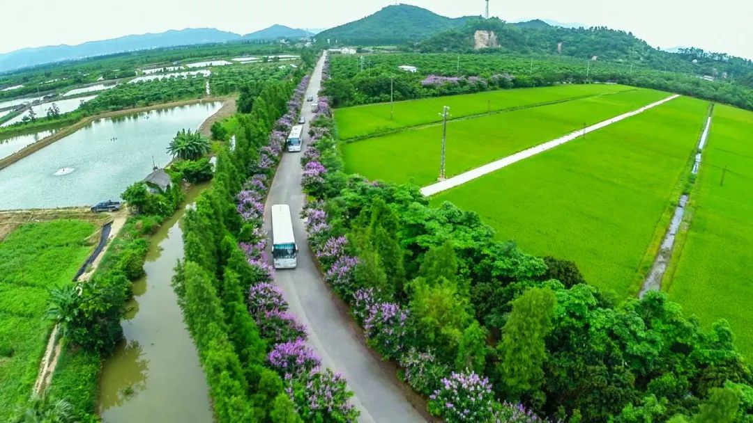 斗门这两个村,靓了!