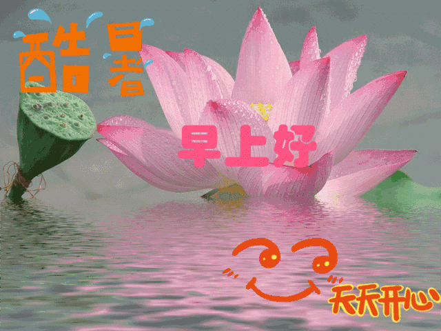 640_480gif 动态图 动图