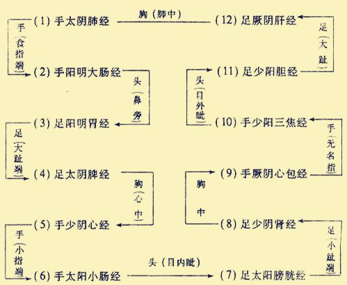 经络重在疏通十二经络这样记忆超简单