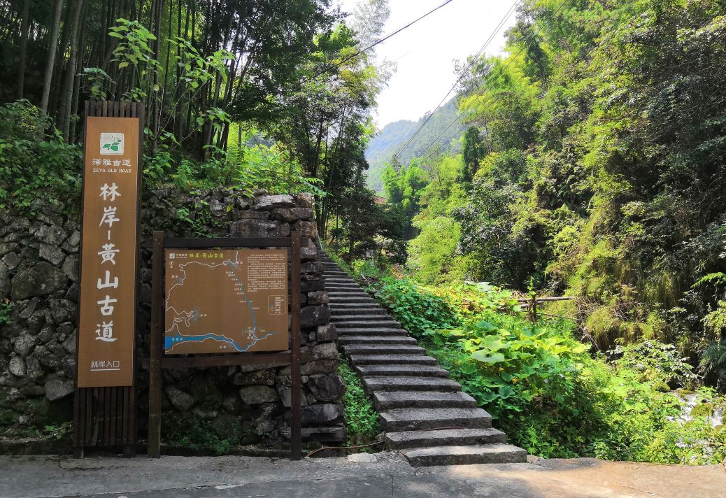 瓯海健身步道登山赏景愉悦心情等你去打卡