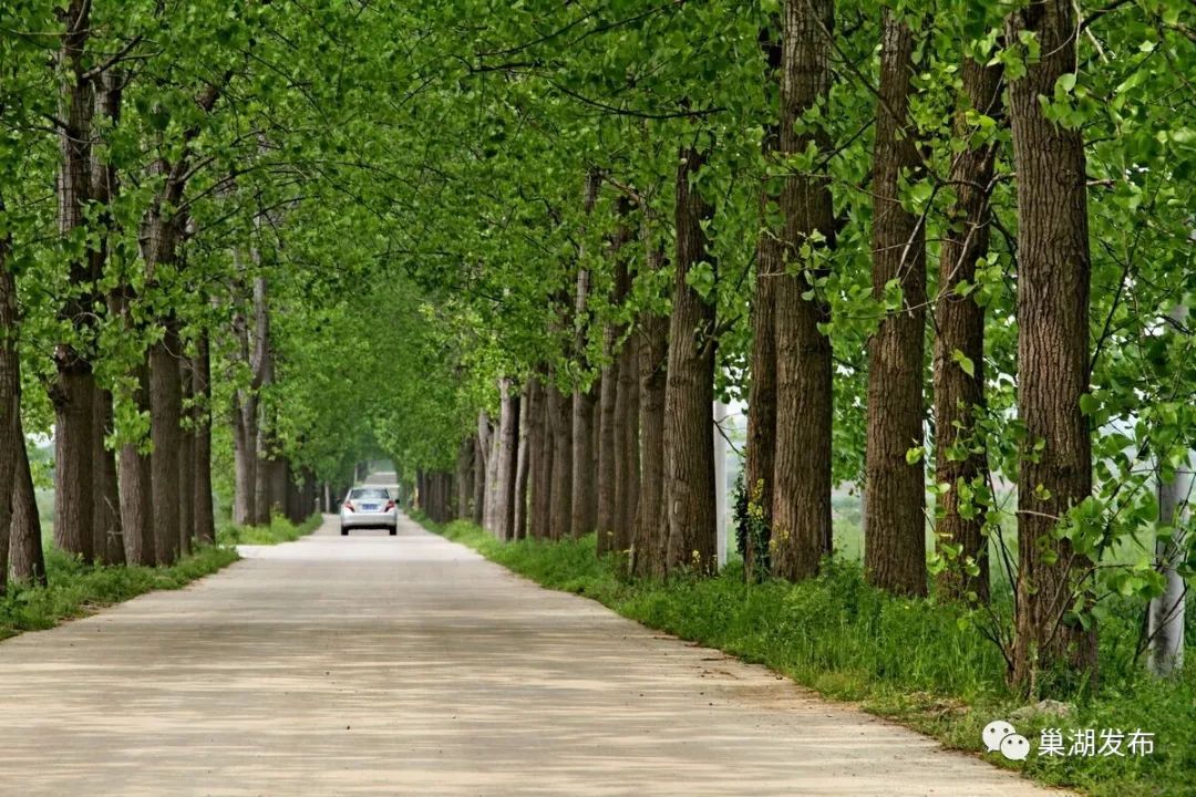 夏閣鎮龍泉村,烔煬鎮花集村,黃麓鎮躍進村,銀屏鎮呂婆村,銀屏鎮愛國村