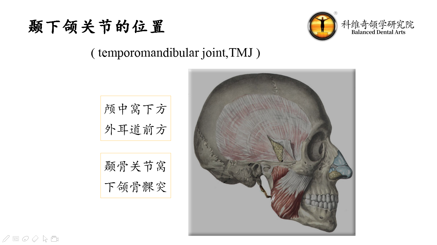 超詳細顳下頜關節治療案例 胡旭,南京醫科大學口腔醫學院口腔醫學