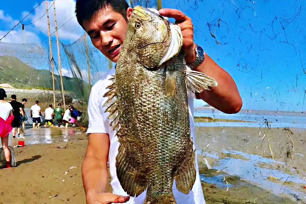 【渔家傲c线】捕鱼达人召集令|东海渔家傲赛螃蟹大会,捕海鱼,吃海鲜