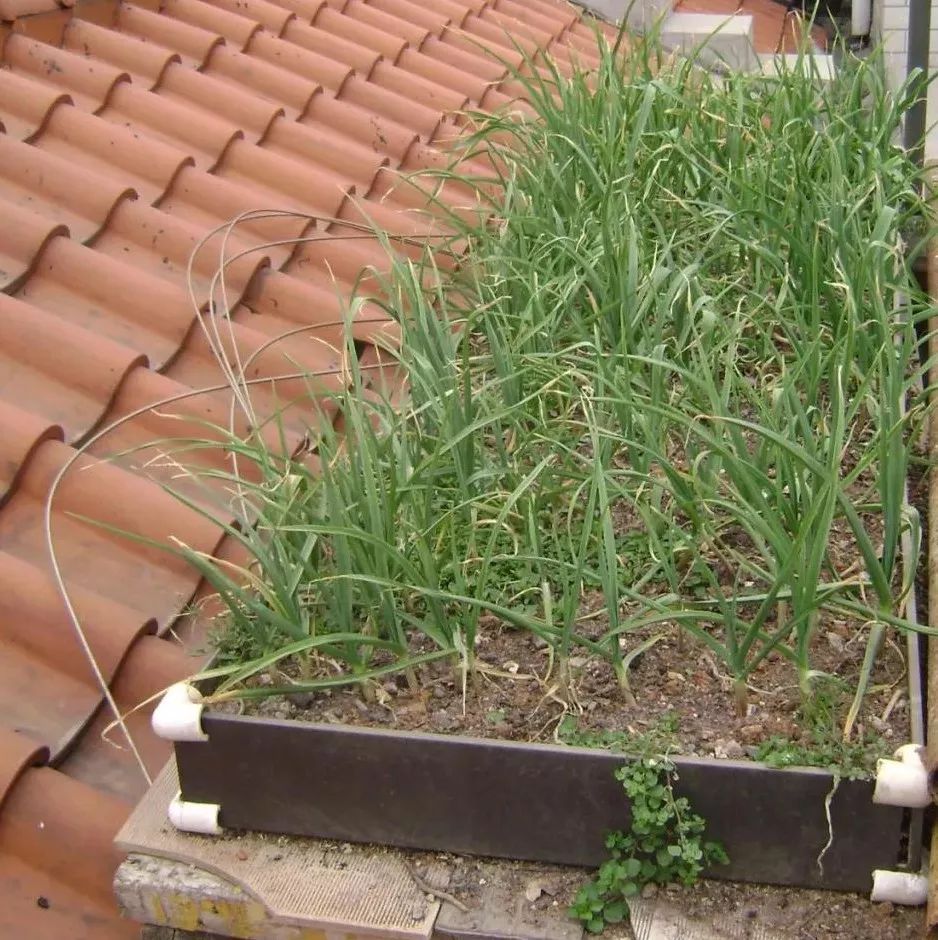 宁乡小学生发明的这件"神器"获国际大奖!_黄一翀