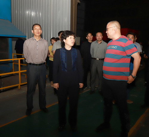 上街区委书记宋洁督导我区环境污染攻坚工作