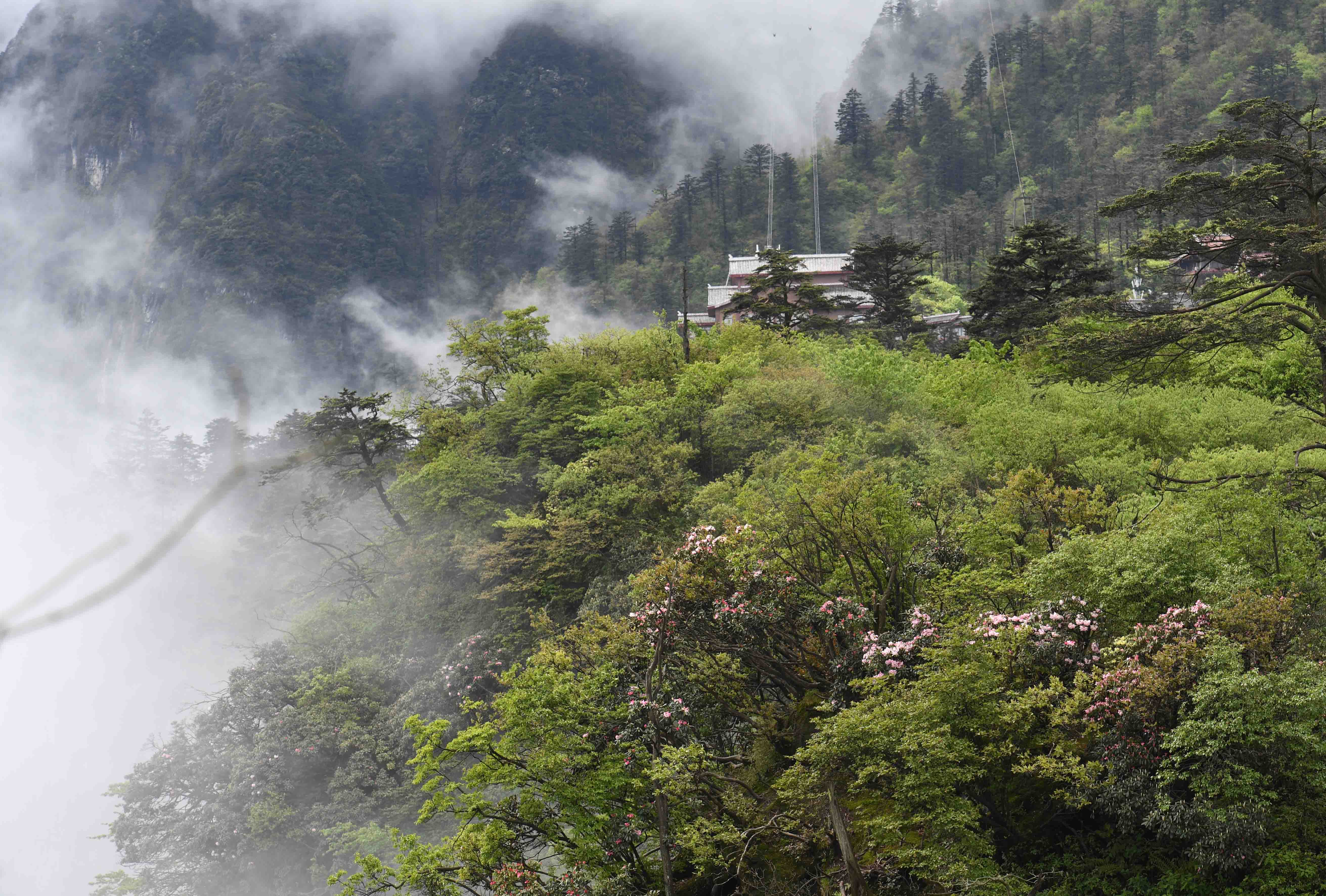 峨眉山高清壁纸图片