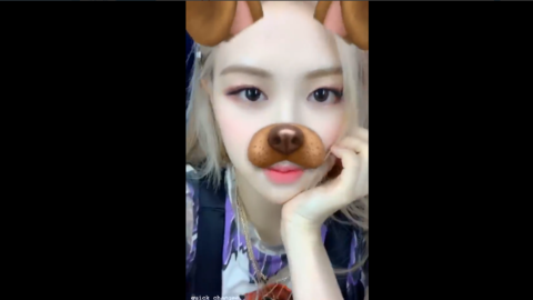 可爱精灵rose狗狗特效滤镜又来了