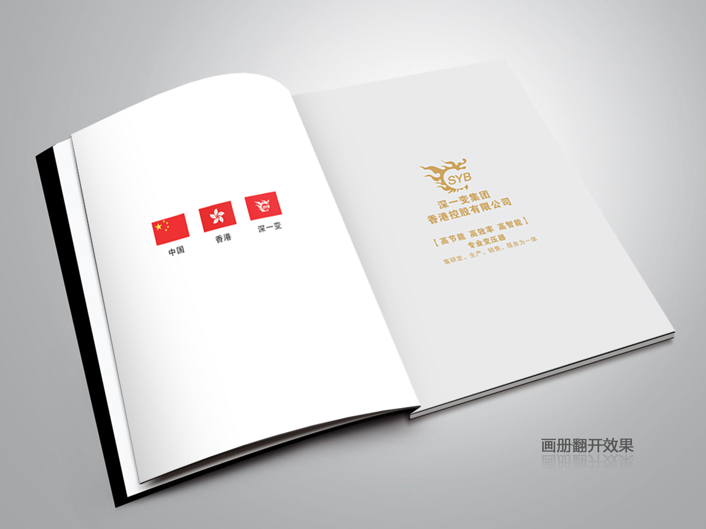 变压器画册案例欣赏-酷雅设计