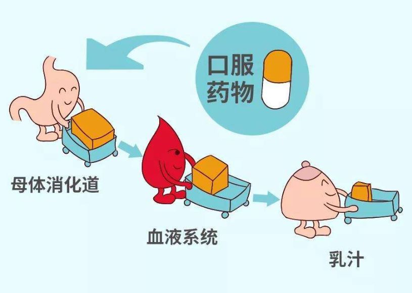 可造成乳儿四环素牙;哺乳期妇女使用异烟肼,甲丙氨