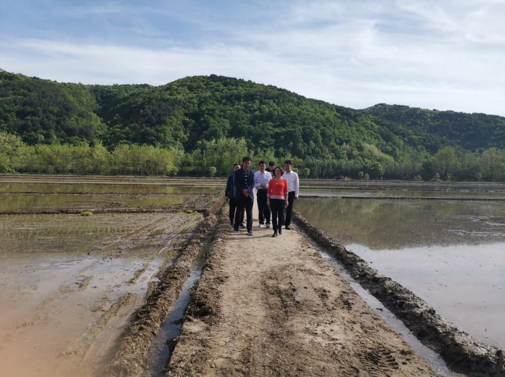 富县:李彦侠在张家湾镇调研