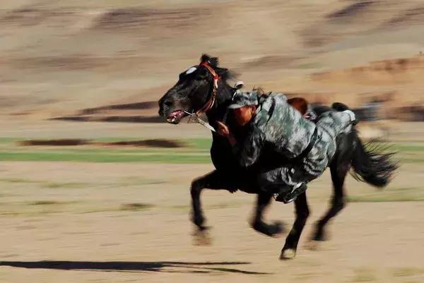 从布琼尼的骑兵第一集团军到八路的大青山骑兵纵队,骑兵就像一个垂老