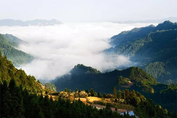 《古丈坪厅志载"古丈东北五十里,岭势险峻,高出云表,其险绝处扪萝攀