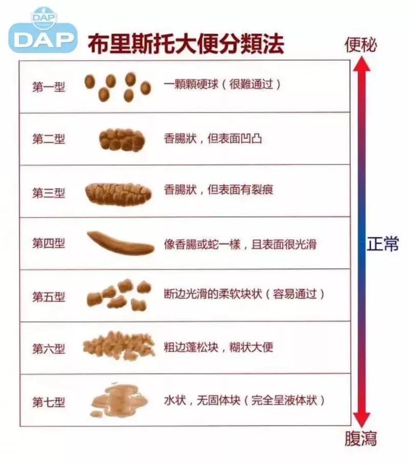 狗狗粑粑又臭又软是什么原因？_粪便