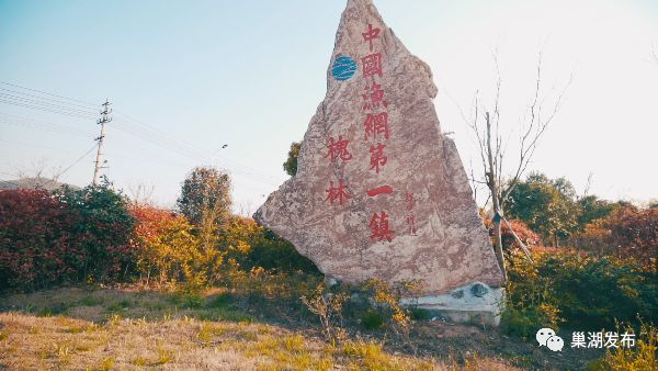 巢食记——八大家乡菜:槐林汆鱼等你来尝!