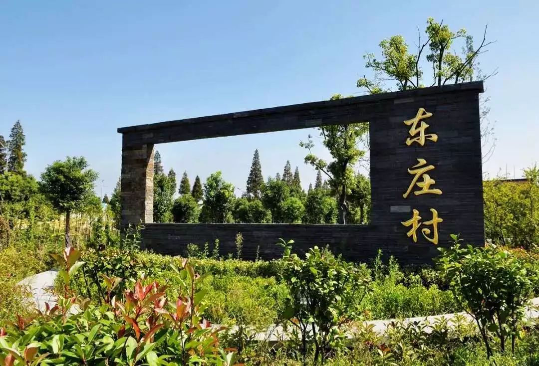 乡村振兴双下沉做实慈爱健康管理服务练塘镇东庄村红色服务案例之一