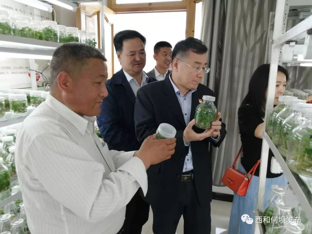 何坝动态青岛市市北区湖岛街道办事处党工委书记刘文一一行深入何坝镇