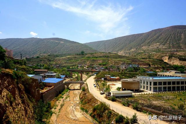 兰州水磨沟河畔七里河八里镇 后五泉村梅杏寨杏子长势喜人