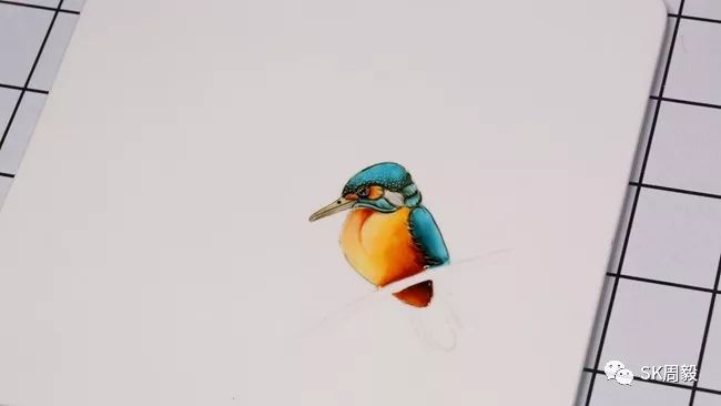 荷花翠鸟周毅重磅贴心细致高清果酱画视频