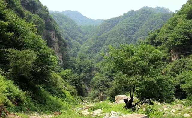 河南这个乡村是驴友的天堂,犹如山水画廊,还免门票_马河村