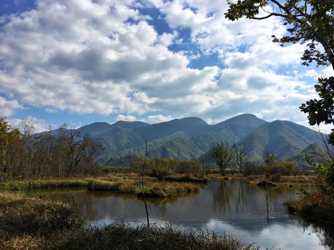 神龙之谜丨神农架金龙之未解之谜