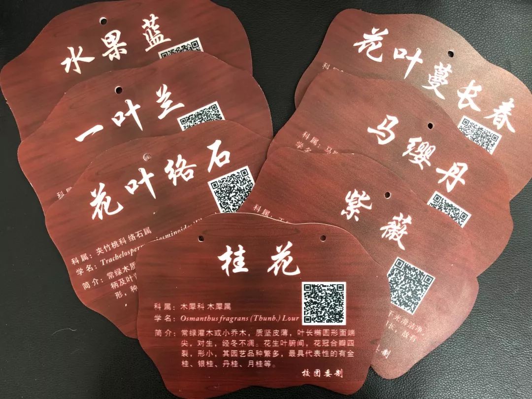 红五月青年行熟识花草树木共建绿色校园