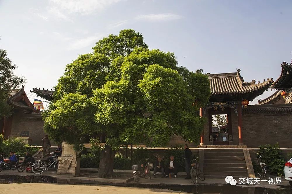 阳渠村是交城的一个比较大的行政村落,离县城较近,每年的农历六月二十