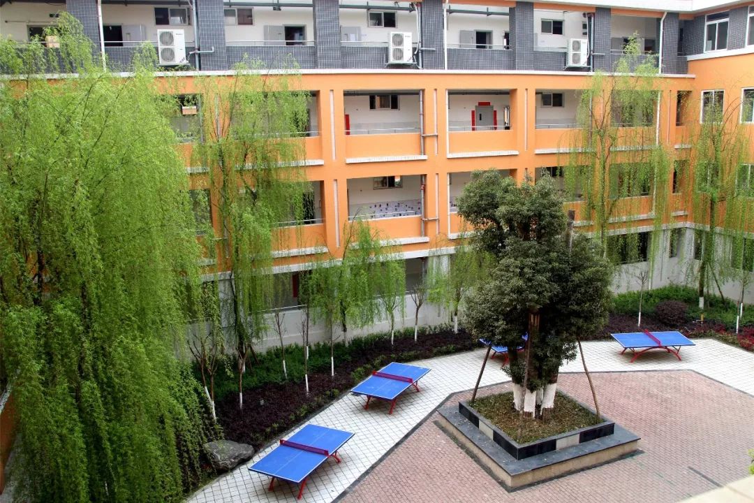 双创在行动校园第二站走进苏辙小学