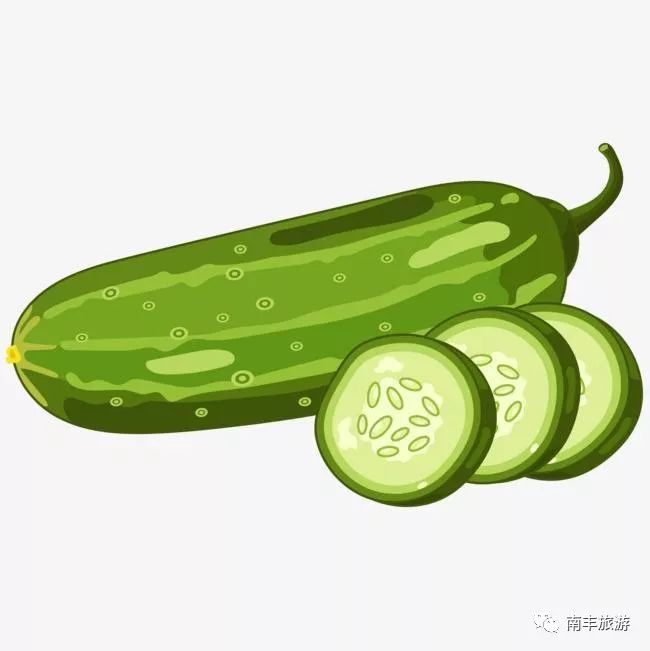 初遇夏天遇见黄瓜中的小鲜肉水果黄瓜