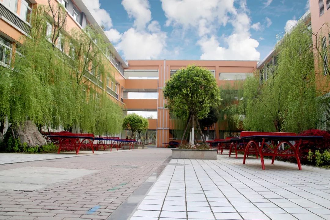 双创在行动校园第二站走进苏辙小学