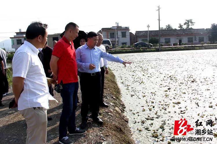 湘潭市领导李江南周晓理戴德清分别来湘乡调研